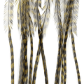 Whiting 100 Pack Saddle Hackle