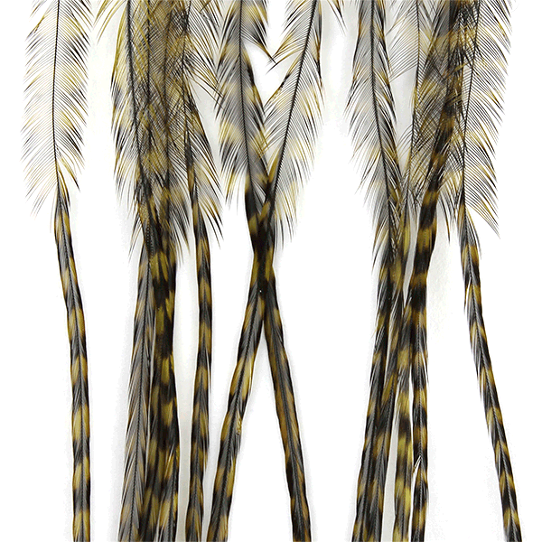 Whiting 100 Pack Saddle Hackle