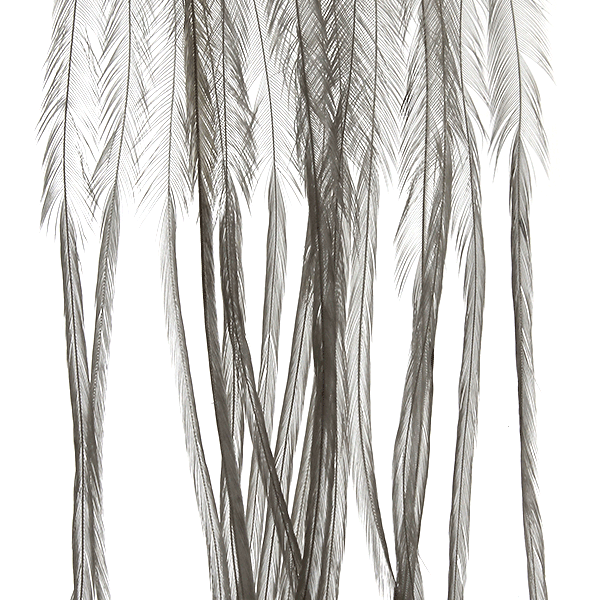 Whiting 100 Pack Saddle Hackle
