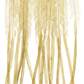 Whiting 100 Pack Saddle Hackle