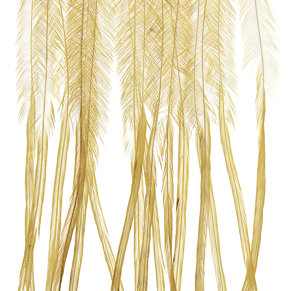 Whiting 100 Pack Saddle Hackle
