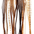 Whiting 100 Pack Saddle Hackle