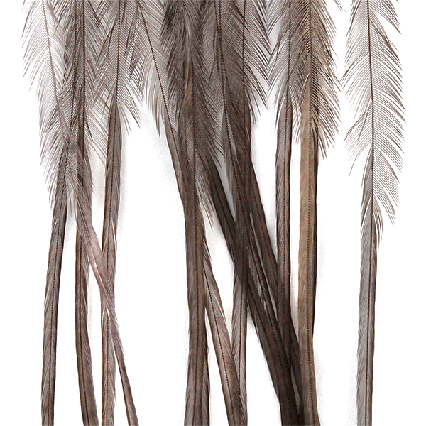 Whiting 100 Pack Saddle Hackle
