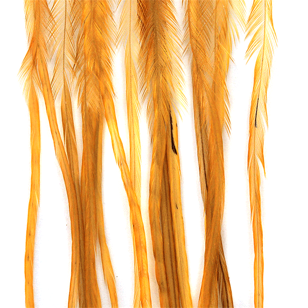 Whiting 100 Pack Saddle Hackle