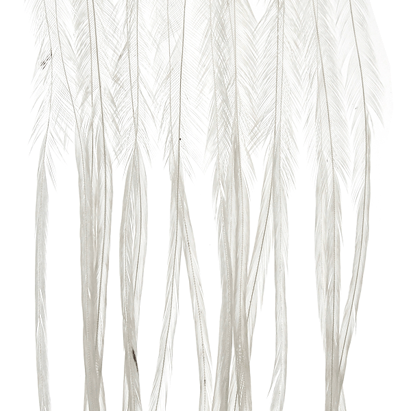 Whiting 100 Packs Premium Dry Fly Hackle | J. Stockard