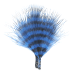 Blue/Barred Black