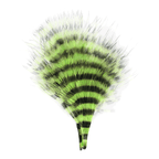 Chartreuse/Barred Black