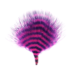 Fuchsia/Barred Purple