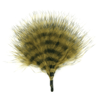 Olive/Barred Black