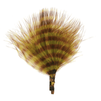 Olive/Barred Brown