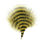 Yellow/Barred Black