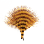 Yellow/Barred Brown