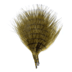 Olive/Barred Black