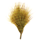Olive/Barred Brown