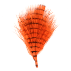 Orange/Barred Brown