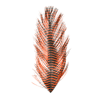 0-1-492-591