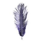 purple/black