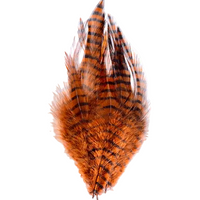 Barred Saddle Hackle