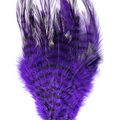 Barred Saddle Hackle