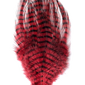 Barred Saddle Hackle