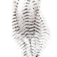 Barred Saddle Hackle