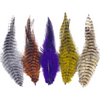 Barred Saddle Hackle
