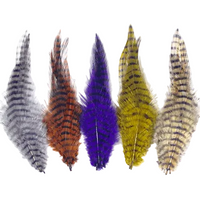 Barred Saddle Hackle