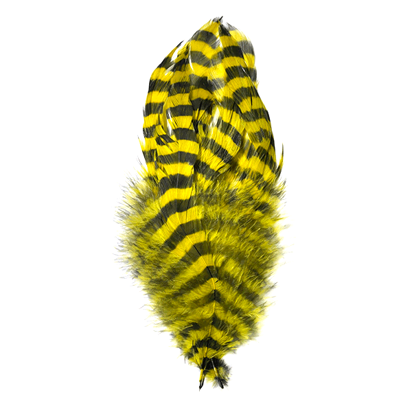 Barred Schlappen