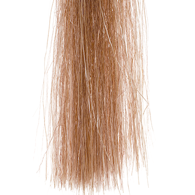 Senyo's Shadow Fiber