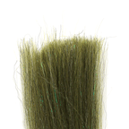 Golden Olive