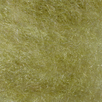 Callibaetis
