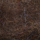 UV Spicy Squirrel Dubbing