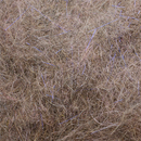 UV Spicy Squirrel Dubbing