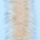 0BU-FO3-CO-1_1ccd708b-e0df-42fb-8c19-42016d13dd8c