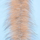 0BU-FO3-FO-1_45084e9d-5533-4ed6-b0b9-f128dab43514