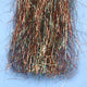 0CC-THSP-RB-2