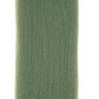 minnow