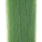 grass shrimp