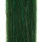 wild peacock