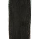 EP Needlefish Fibers