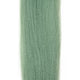EP Needlefish Fibers