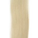 Ep Needlefish Fibers