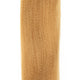 EP Needlefish Fibers