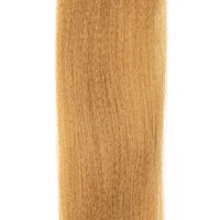 EP Needlefish Fibers