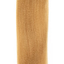 Ep Needlefish Fibers