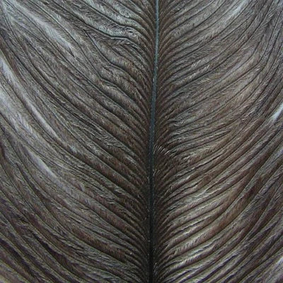 Ostrich Herl