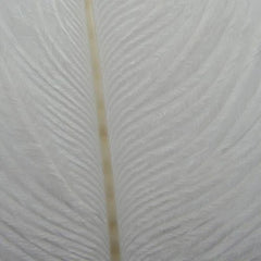 Ostrich Herl