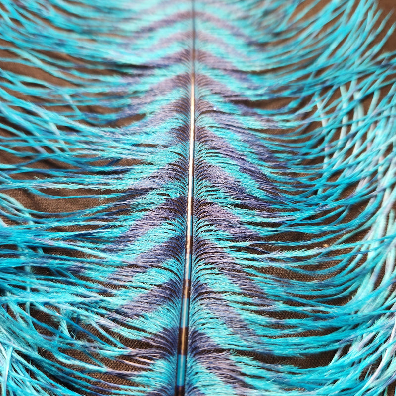 20221028-141600