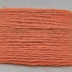 Salmon Egg