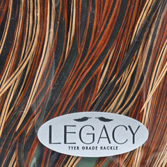 Metz Saddle Legacy